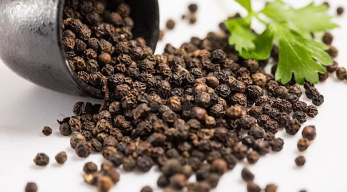 Today’s Peppercorn Prices: Steady Domestic Market, Lowest at 76,000 VND/kg