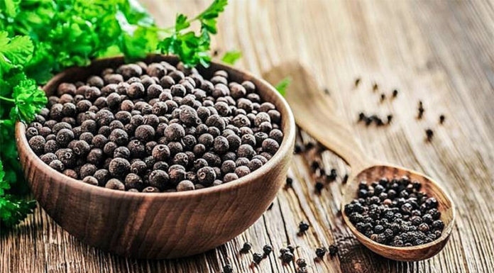 Today’s Black Pepper Prices 19/08/2021: A Slight Uptick, Fluctuating Between 76,500 – 79,500 VND/kg