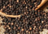 Today’s Peppercorn Prices, August 21st, 2021: Stable Market, Ranging from 76,500 to 79,500 VND per kg