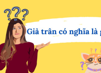 What is a Gemstone? Where Do They Come From?