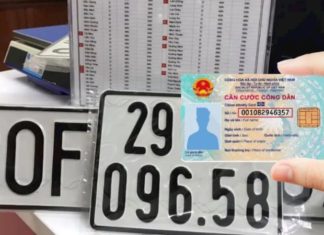 The Ultimate Guide to Understanding Vehicle Identification Number Plates