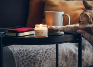 Why Do Cats Knock Things Over?