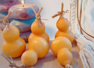 Unleashing the Power of Feng Shui: Understanding the Mystique of the Gourd