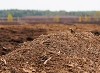 Unlock the Secrets of the Color Brown: Its Meaning in Life, Feng Shui, and Love