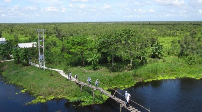 The Ultimate Travel Guide to An Minh, Kien Giang: Unveiling a Hidden Gem