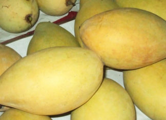 What Are Tiền Giang’s Specialties? 15 Delicacies to Buy as Gifts