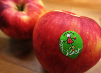 10 Suggested Imported Fruits to Gift Your Loved Ones This Tet Holiday