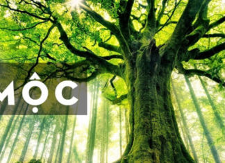 What Tattoos Suit Those Born in the Year of Wood?