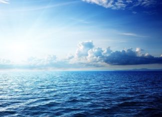 The Power of Water: Attracting Wealth and Fortune with Feng Shui for the Water Element