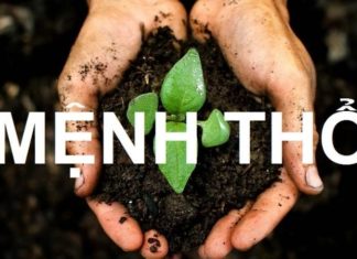 The All-Encompassing Wealth Talisman for Earth-Aligned Individuals: A Feng Shui Guide to Prosperity