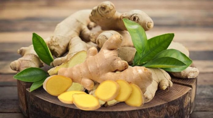 Is Sprouted Ginger Good or Bad for Your Health?