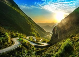 The Tasty Treasures of Ha Giang: 16 Delights to Savour and Gift.