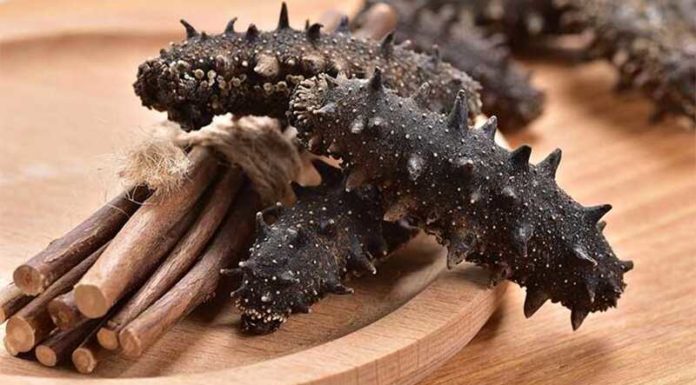 What are Sea Cucumbers? Benefits of Sea Cucumbers for Your Health
