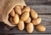 How Many Calories Are in Potatoes? Can Eating Potatoes Make You Fat?