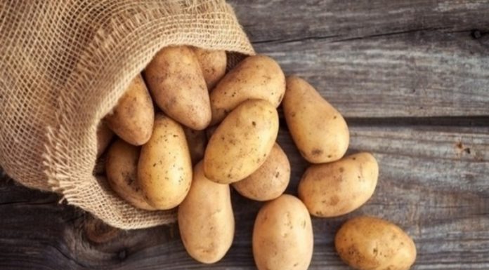 How Many Calories Are in Potatoes? Can Eating Potatoes Make You Fat?