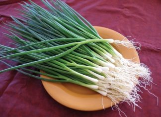 The Poisonous Pair: Unveiling the Toxic Truth.