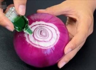 “A Summer Breeze of Relief: Onion’s Ointment to Family’s Troubles”