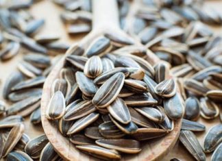 Sunflower Seeds: Unlocking the Benefits and Potential Pitfalls