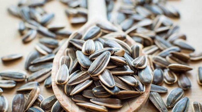 Sunflower Seeds: Unlocking the Benefits and Potential Pitfalls
