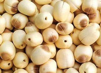 What Are the Benefits of Hue Lotus Seeds? Where Can I Buy Them?