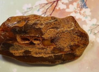 What is Amber? Its Characteristics and Benefits for Health