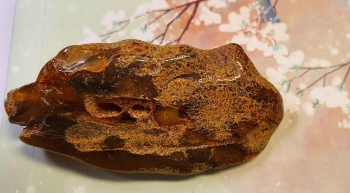 What is Amber? Its Characteristics and Benefits for Health