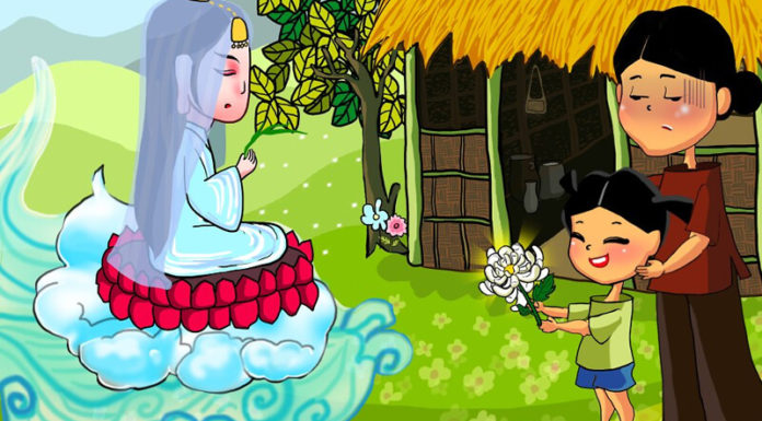 Wild Chrysanthemums: Unveiling the Beauty, Meaning, and Care