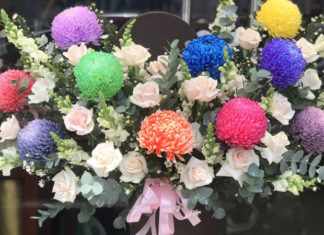 What Are Peony Chrysanthemums? Understanding the Meaning of These Flowers.