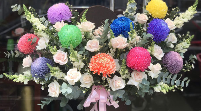 What Are Peony Chrysanthemums? Understanding the Meaning of These Flowers.