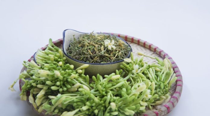 Delicious Suggestions for Cooking with Male Papaya Flowers: An Unknown Treat for the Taste Buds