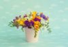 What are Freesia Flowers? Understanding Their Meaning, and Learning How to Plant and Care for Them.