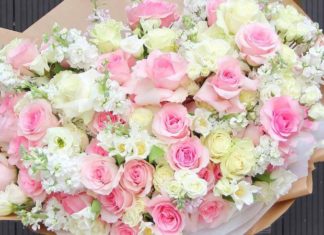 Ecuadorian Roses: Their Significance, Captivating Visuals, and a Guide to Growing and Nurturing Them at Home