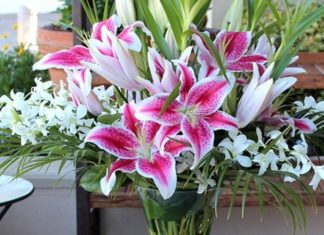 “The Ultimate Guide to Long-Lasting Daffodils: Keep Them Fresh for a Week and Beyond”