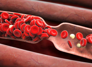 “The Surprising Truth About Wearing Socks to Bed in Winter”