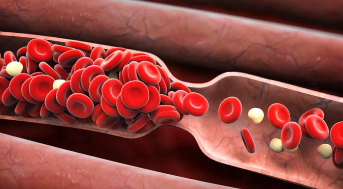 “The Surprising Truth About Wearing Socks to Bed in Winter”