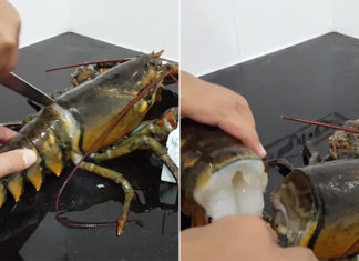 The Ultimate Guide to Lobster Prep: A Chef’s Masterclass