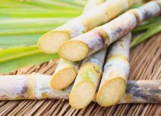 The Ultimate Guide to Preserving Sugarcane Juice: Keep It Green, Fresh and Tasty