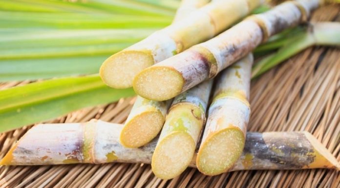 The Ultimate Guide to Preserving Sugarcane Juice: Keep It Green, Fresh and Tasty