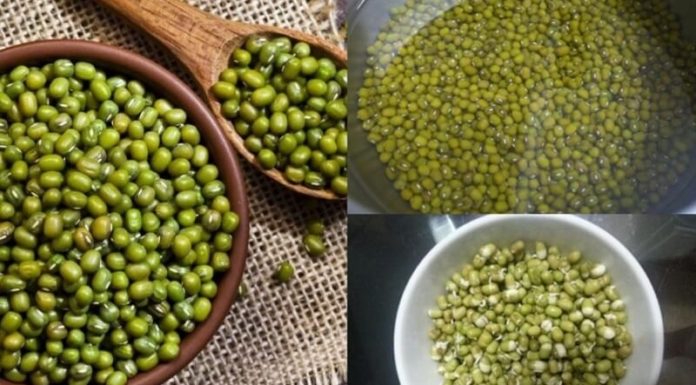 {“message”:”Please wait and try again later”}