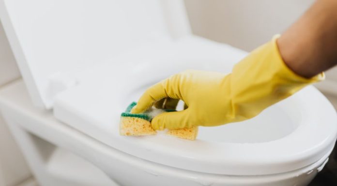 The Ultimate Guide to Bathroom Cleaning: Emulating the Japanese Way for a Sparkling, Fresh Space