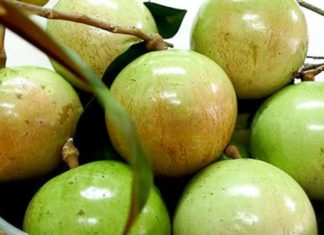 Master the Art of Ripening Custard Apples: A Guide from Fruit Vendors to Get Juicier, Ripened Fruits Faster