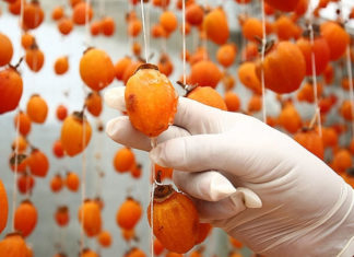 What is the Price of Hong Treo Gio in Dalat? Where to Buy the Best Quality and Safest Products?