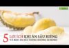 Durian: 10 Health Benefits of This King of Fruits