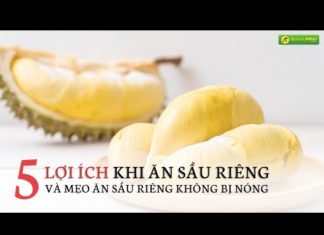 Durian: 10 Health Benefits of This King of Fruits
