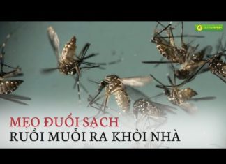 “Get Rid of Flies and Mosquitos in Your Home: A Super Simple Solution”