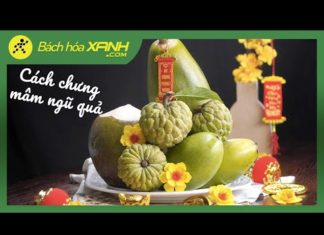 The Art of Tet Fruit Tray: A Cultural Guide to Symbolism and Presentation