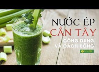 The Ultimate Guide to Celery Juice: Answering All Your Questions