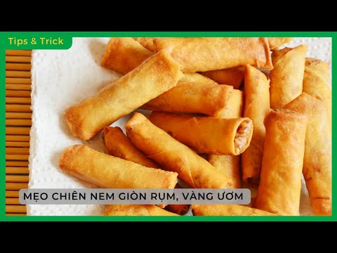 The Ultimate Guide to Achieving Golden Perfection: Crispy Egg and Vegetable Spring Rolls