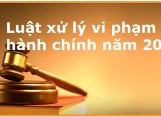 The Art of Disciplinary Action: A Comprehensive Guide to Administrative Penalties and Their Navigation