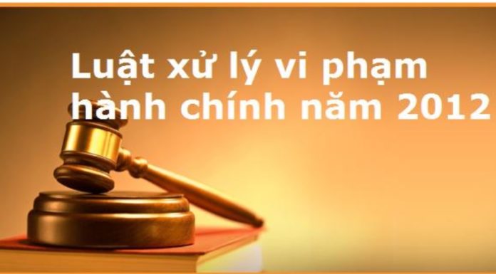 The Art of Disciplinary Action: A Comprehensive Guide to Administrative Penalties and Their Navigation